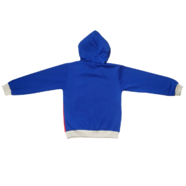 HVM Kids Sweatshirt With Hood