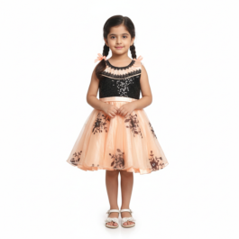 HVM Baby Girl Party Wear Frock