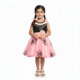 HVM Baby Girl Party Wear Frock