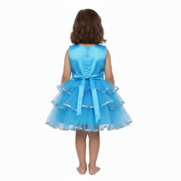 HVM Baby Girls Party Wear Frock