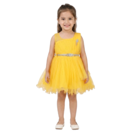 HVM Baby Girls Party Wear Frock