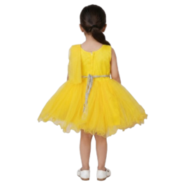 HVM Baby Girls Party Wear Frock