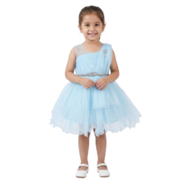 HVM Baby Girls Party Wear Frock