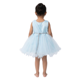 HVM Baby Girls Party Wear Frock