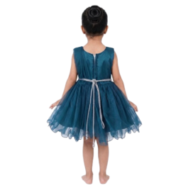 HVM Baby Girls Party Wear Frock