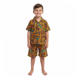 HVM Boys Printed Shorts & Shirt