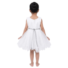 HVM Baby Girls Party Wear Frock